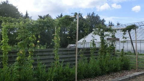 Humlehaven i Støvring